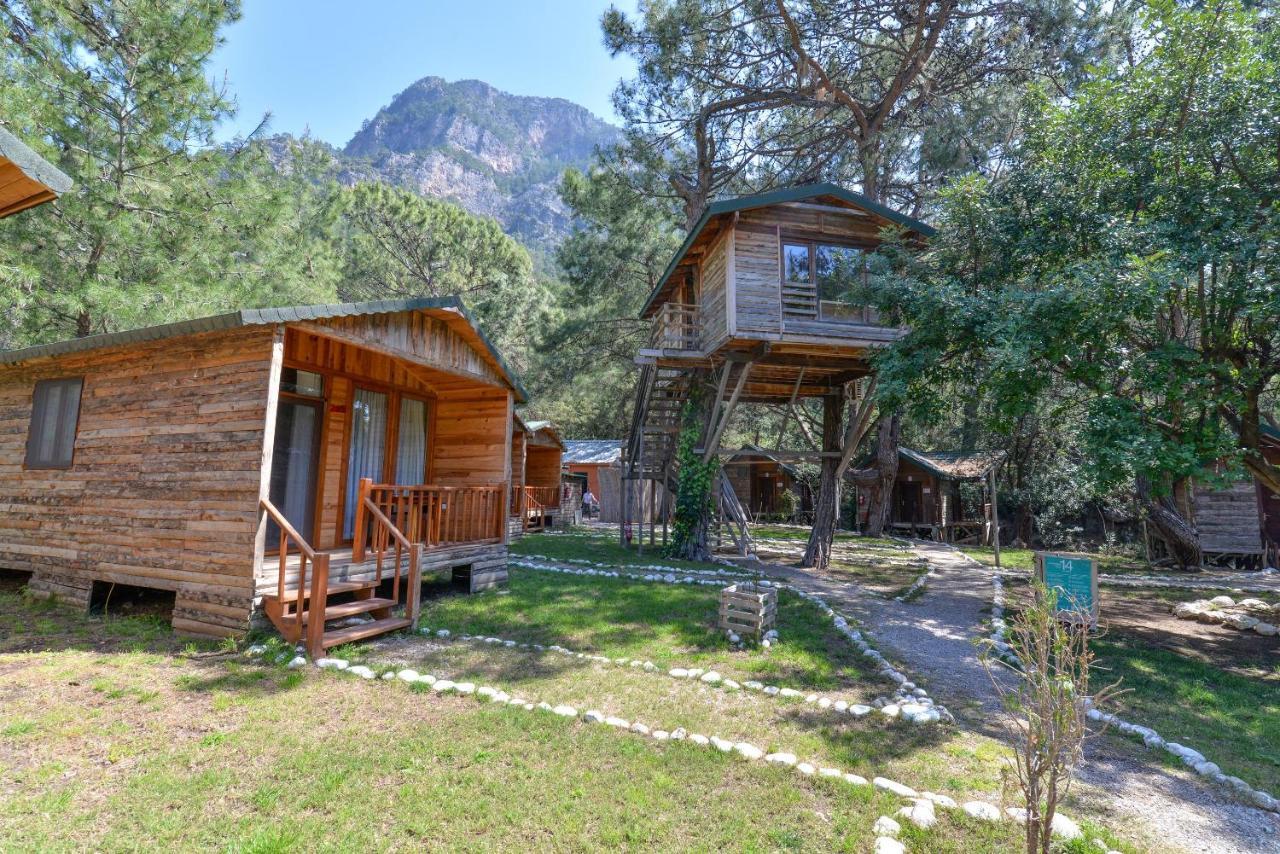 Sea Valley Lodge Faralya Extérieur photo