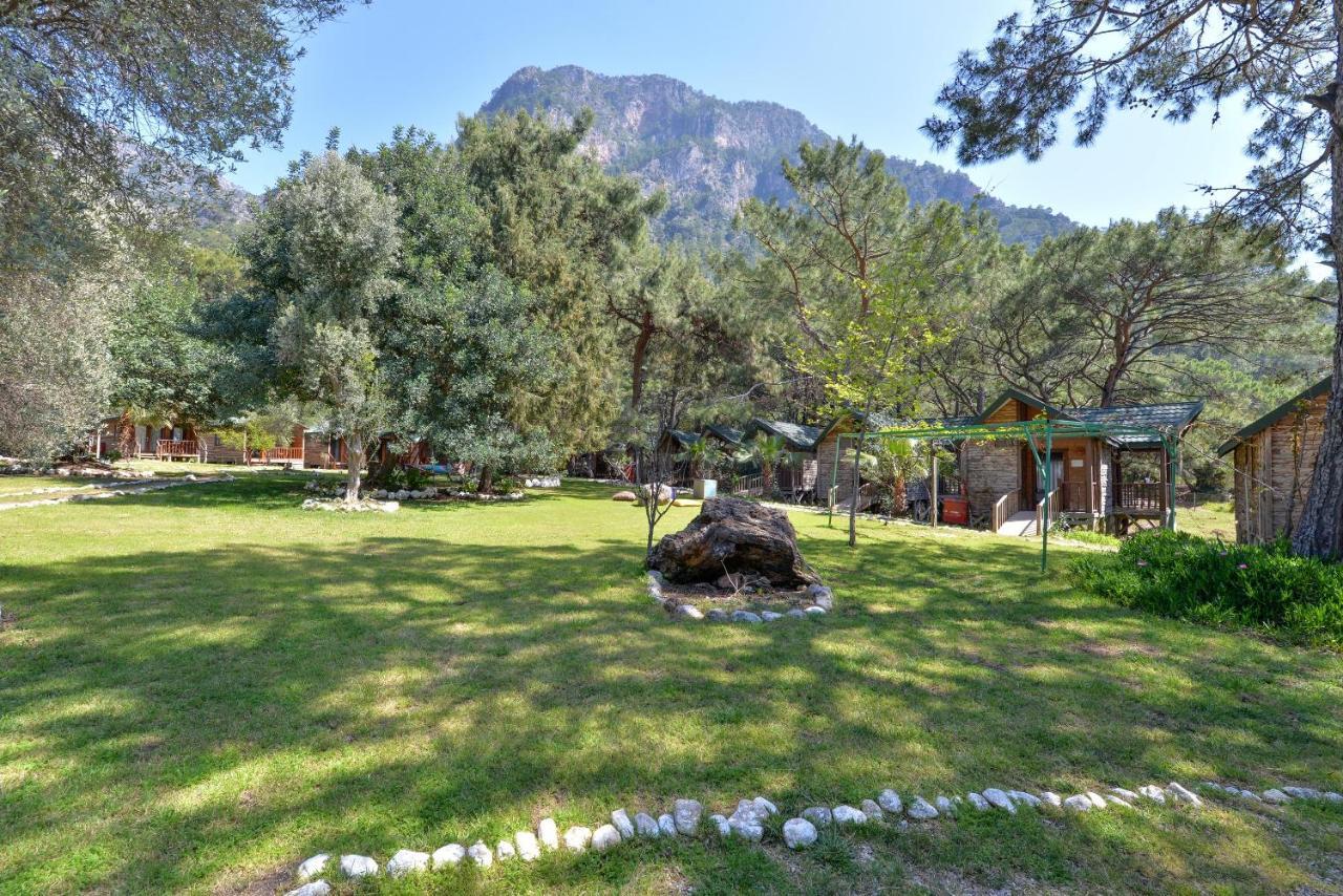 Sea Valley Lodge Faralya Extérieur photo