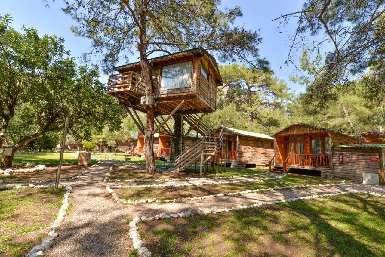 Sea Valley Lodge Faralya Extérieur photo